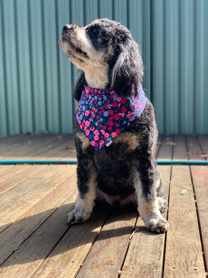 Dog Bandanas
